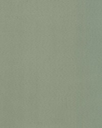 Supra Artichoke 77 Microsuede by   