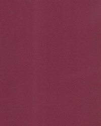 Supra Bordeaux 59 Microsuede by   