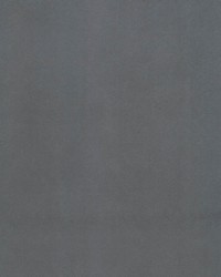 Supra Charcoal 21 Microsuede by   