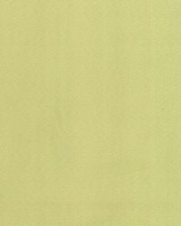 Supra Chartreuse 26 Microsuede by   