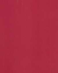 Supra Cherry 34 Microsuede by   