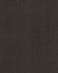 Supra Chocolate 83 Microsuede by   