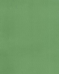 Supra Citron 43 Microsuede by   