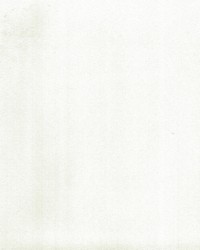 Supra Cloud 51 Microsuede by   