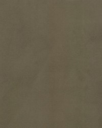 Supra Coffee 18 Microsuede by   