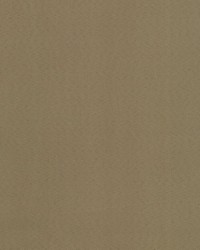 Supra Cognac 12 Microsuede by   