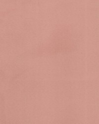 Supra Coral 56 Microsuede by   