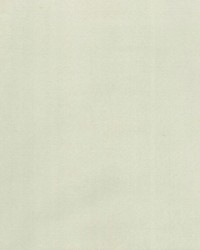 Supra Cream 52 Microsuede by   