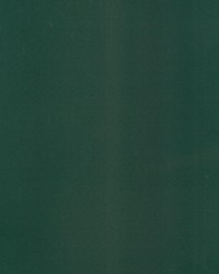 Supra Forest 87 Microsuede by   