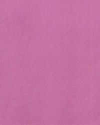 Supra Fuchsia 29 Microsuede by   