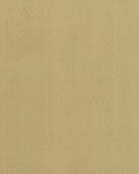 Supra Gold 53 Microsuede by   