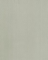 Supra Greige 04 Microsuede by   