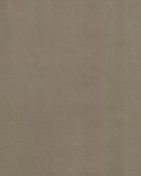 Supra Latte 09 Microsuede by   