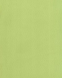 Supra Lime 31 Microsuede by   