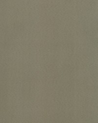 Supra Mink 81 Microsuede by   