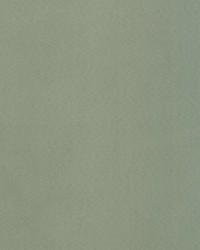 Supra Mint 71 Microsuede by   