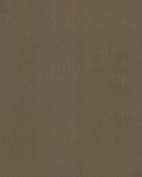 Supra Mushroom 80 Microsuede by   