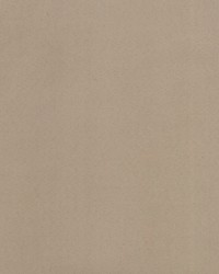 Supra Nude 03 Microsuede by   