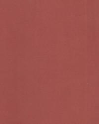 Supra Paprika 14 Microsuede by   