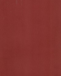 Supra Persimmon 58 Microsuede by   