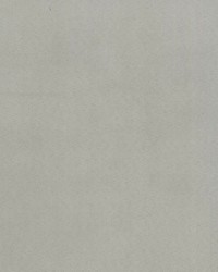 Supra Pewter 10 Microsuede by   