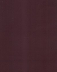 Supra Plum 24 Microsuede by   