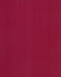 Supra Raspberry 85 Microsuede by   