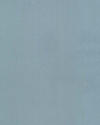 Supra Robins Egg 76 Microsuede by   