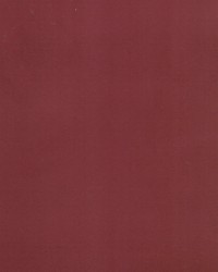 Supra Wine 19 Microsuede by   