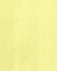 Supra Yellow 38 Microsuede by   