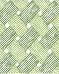 Wisdom Fern Sage by  Premier Prints 