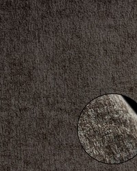 Jerry Pecan 39126 by   