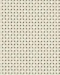 Phifer SheerWeave 2390 Beige Q20 by  Phifer Sheerweave 