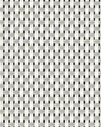 Phifer SheerWeave 2390 Beige Pearl Gray Q21 by  Phifer Sheerweave 