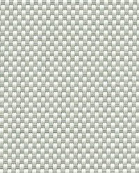 Phifer Sheerweave 2500 P14 Oyster Pearl Gray 63 Inch Width Fabric