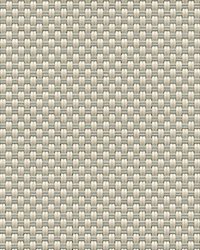 2500 Q21 Beige Pearl Gray by   