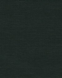 Phifer Sheerweave Basic 5 V21 Charcoal 98 Inch Wide Fabric