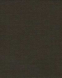 Basic 5 V24 Charcoal Chestnut 98 Inch Wide by  Phifer Sheerweave 