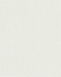 Infinity2 3 Pg1 Cotton 98 Inch Wide by   