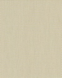 Infinity2 5 Pg3 Wheat 98 Inch Wide by   