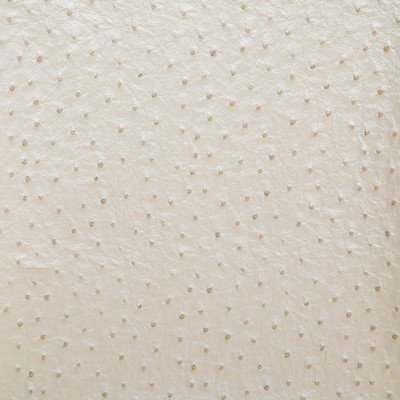 Pindler and Pindler 1008 Micah Pearl in may 2022 Beige Upholstery 100%  Blend Solid Beige   Fabric