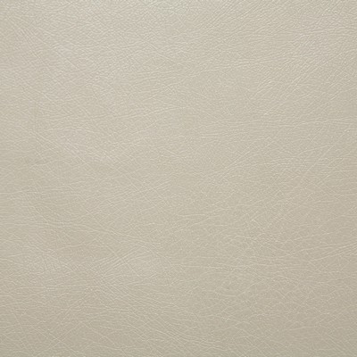 Pindler and Pindler 1012 Barstow Ash in may 2022 Grey Upholstery 100%  Blend Fire Rated Fabric Solid Faux Leather Flame Retardant Vinyl  Solid Silver Gray  Leather Look Vinyl  Fabric