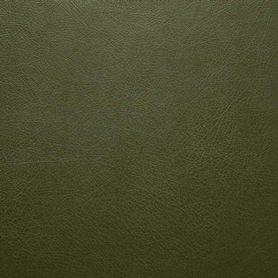 Pindler and Pindler 1012 Barstow Ivy in may 2022 Green Upholstery 100%  Blend Fire Rated Fabric Solid Faux Leather Flame Retardant Vinyl  Leather Look Vinyl  Fabric
