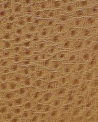 1014 Outback Birch by   