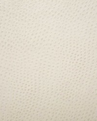 1014 Outback Bisque by   