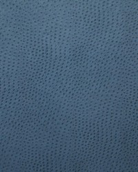 1014 Outback Bluebell by   