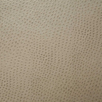 Pindler and Pindler 1014 Outback Cement in may 2022 Grey Upholstery 100%  Blend Fire Rated Fabric Animal Skin  Flame Retardant Vinyl  Leather Look Vinyl Animal Vinyl   Fabric