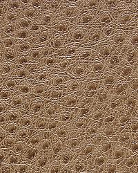 1014 Outback Cobblestone by   