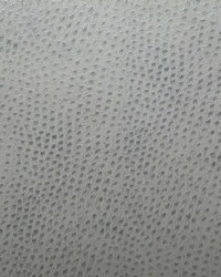 1014 Outback Dove by   