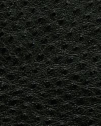 1014 Outback Ebony by   